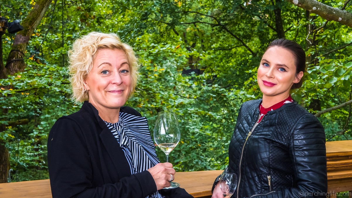 Bar perché Perching Life dans la forêt de Verzy