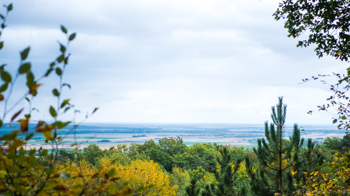 Parcours accrobranche Perching Life