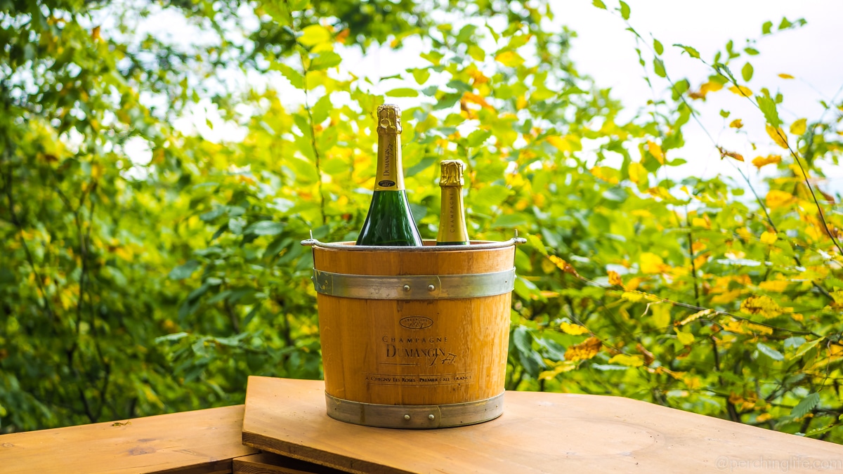 Champagne Perching Life